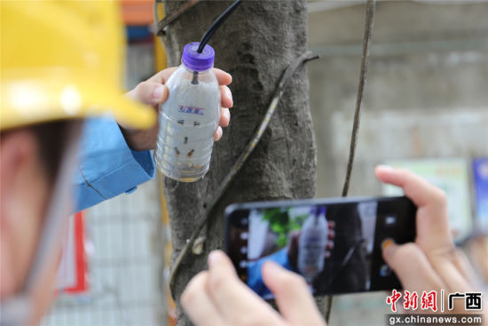 住戶為防止雨天插座漏電而套上的塑料瓶中積水明顯，存在漏電隱患。謝耘 攝